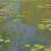 Water Lily Pond (Le bassin aux nymphéas)